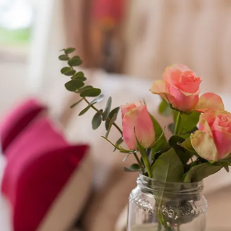 I Girasoli * Misano Adriatico