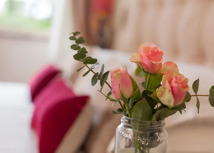 吉拉索利1号客栈 * 米萨诺阿德里亚蒂科