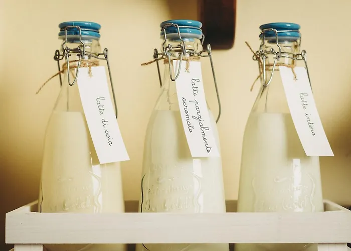 I Girasoli * Misano Adriatico